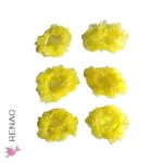 Colet gasa amarillo - Paq x 12 unid