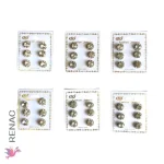 Arete noveno - Paq x 12 cartillas