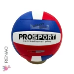 Pelota de Voley - Imagen 2